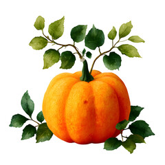 Orange pumpkin with green vine, autumn theme, isolated on transparent background