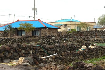 garden in the village