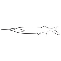 Minimal line art of a garfish, perfect for marine biology visuals, fishing guides, seafood menus, or educational content. Sleek outline ideal for vector or infographic projects.