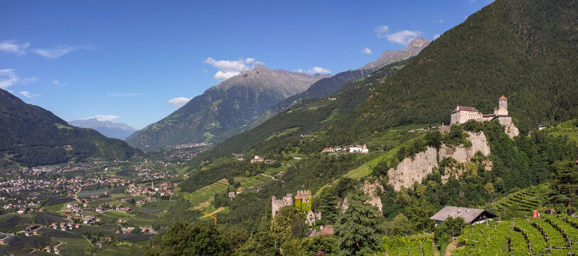Panoramic view from Dorf Tirol: Tyrol and Brunnenburg castles overlook Merano&rsquo;s vineyards, with Texelgruppe&rsquo;s green peaks behind. Sunny summer day in the Dolomites. South Tyrol, Italy.

