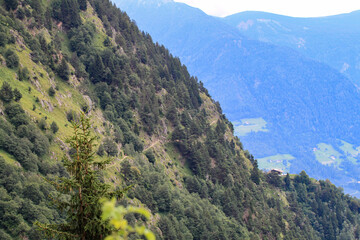 Narrow hiking trail along the steep green slope covered with green forest and rocks of Texelgruppe...