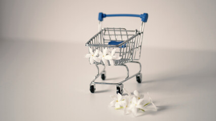 Small blue shopping cart with white flowers isolated on white background