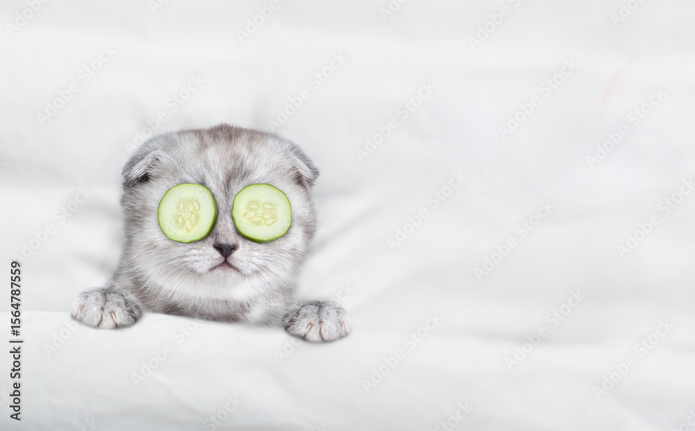 Aufkleber Cute kitten with a pieces of cucumber on it eyes relaxing on the bed at home. Top down view. Empty space for text