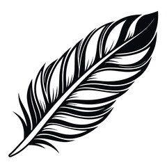 Obraz premium Black feather detailed illustration white quill