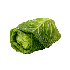Fototapeta premium Fresh green savoy cabbage with textured leaves isolated on transparent background for healthy eating