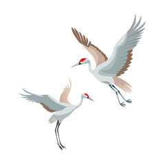 Elegant Sandhill Cranes in Flight Graceful Wildlife Illustration Peaceful Nature Scene