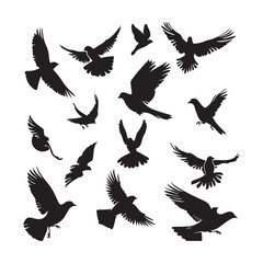Obraz premium Birds in Motion Silhouette Collection
