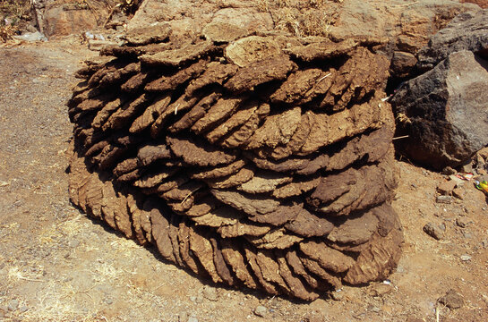 indian cow dung cake india 