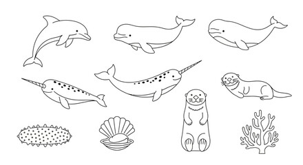 Vector marine life coloring page featuring dolphin beluga whale narwhal otter sea cucumber coral and shell drawing