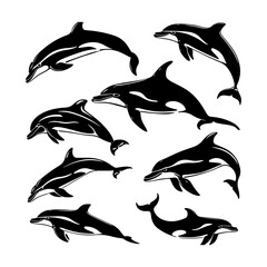 Naklejka premium Dolphin Silhouette Set Clipart White Background
