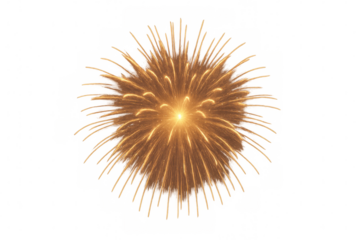 Bright golden firework exploding against a transparent background, perfect for celebrations and festive designs