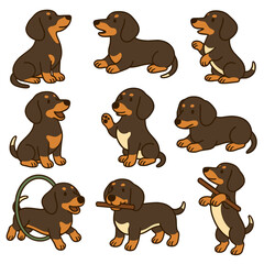 Obraz premium Brown dachshund dog characters in various playful poses and actions 