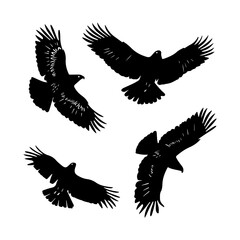 Fototapeta premium Hawk Bird Flying Silhouettes Set Clipart White Background