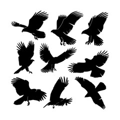 Flying Hawks Silhouettes Set Graphic Clipart