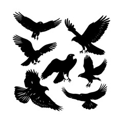 Elegant Flying Hawk Silhouettes Clipart Set