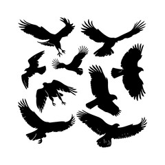 Hawk Bird Silhouettes in Air Clipart Set