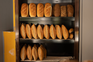 Rows of freshly baked bread loaves neatly arranged on wooden shelves, showcasing a variety of textures and grains in a bakery setting