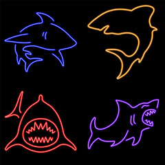 shark neon icon group, vector illustration on black background.