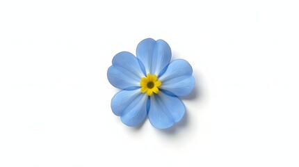 Photorealistic image of a Myosotis flower isolated on white. Tiny blue blooms with yellow centers and soft green leaves. Botanical macro with soft light and natural detail.