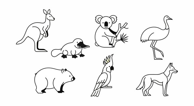Vector australian animals vector illustration: kangaroo, koala, platypus, emu, wombat, cockatoo and dingo outline