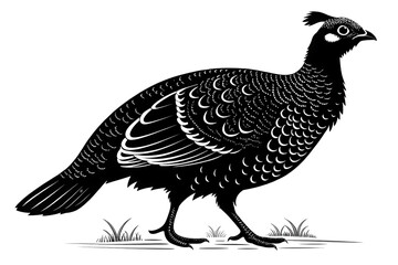 Fototapeta premium Detailed Illustration of a Black Grouse Bird in Nature Environment, Artistic Design, Close-Up View, Wildlife Concept