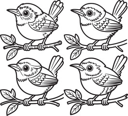 four cute wren birds perched on branches with leaves on transparent background
