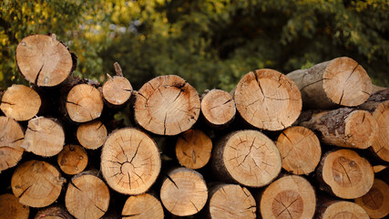 wooden beams, wooden logs, wood texture, wood grain, wood surface