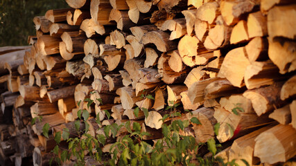wooden beams, wooden logs, wood texture, wood grain, wood surface