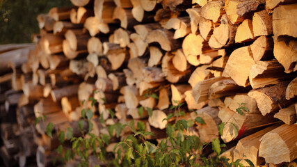 wooden beams, wooden logs, wood texture, wood grain, wood surface