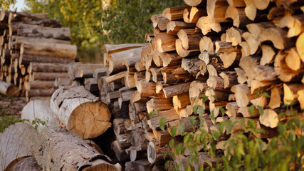 wooden beams, wooden logs, wood texture, wood grain, wood surface
