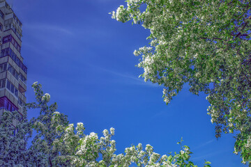 A fragment of an urban landscape on a spring day