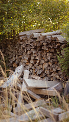 wooden beams, wooden logs, wood texture, wood grain, wood surface