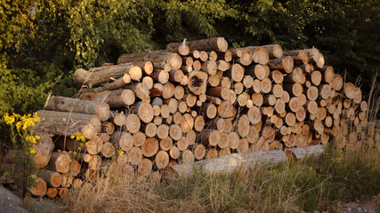 wooden beams, wooden logs, wood texture, wood grain, wood surface
