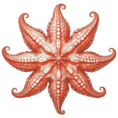 Undersea World, underwater world, elements in vintage style, fish, coral, seahorse, shells, corals, narwhal, whale,