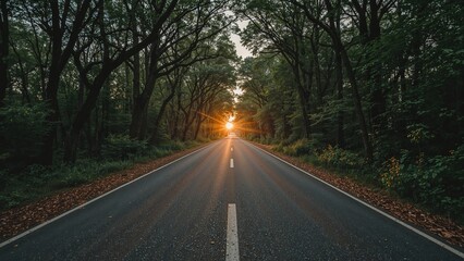 Fototapeta premium New year 2025 journey through nature's sunset road