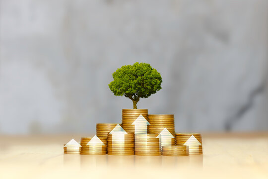 green tree growing from a stack of gold coins, surrounded by upward-pointing arrows, symbolizing financial growth, successful investment, and sustainable wealth. long-term financial investment. - Powered by Adobe