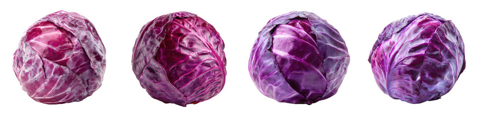 Obraz premium Vivid Red Cabbage Head in a Detailed Studio Shot, perfect culinary ingredient PNG set with transparent background