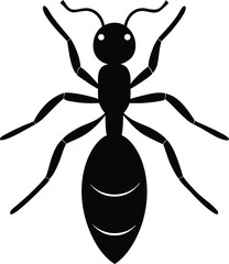  Ant Icon