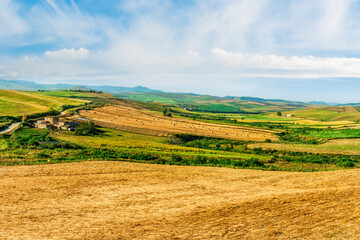 picturesque sunset or sunrise in nice green and yellow shiny field with beautiful golden rows of...