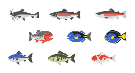 Fototapeta premium Vector collection of different types of fish vector illustration, catfish, trout, koi, and more fish species