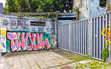 Rio de Janeiro Brazil City Street Art Graffiti and Paintings.