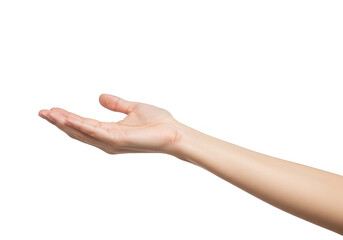 A womans open hand with palm up is isolated on transparent background