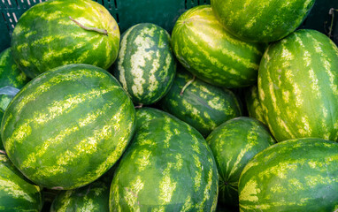 Fresh watermelons stacked in a market display during summer harvest season