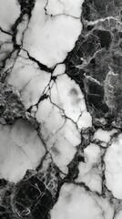 Unique black and white marble texture showcasing intricate patterns and natural variations in design