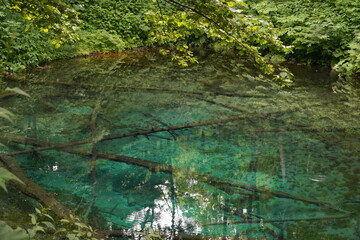 清里町の観光名所の神の子池