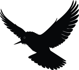 Elegant Birds Silhouette Vector EPS Nightjar in Flight - High-Quality Vector Illustration of a Bird Silhouette with Open Wings