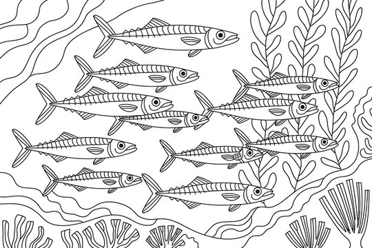 School of mackerel swimming in a coral reef.
