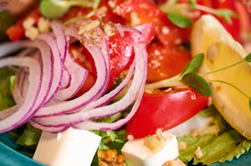 A vibrant salad featuring tomatoes, red onions, and herbs is served in a bright restaurant during lunchtime.