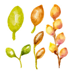 a bunch of different colored flowers on a white background