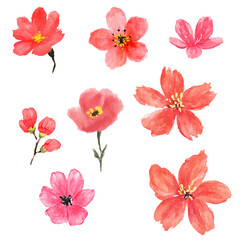 a bunch of flowers that are painted in watercolor
